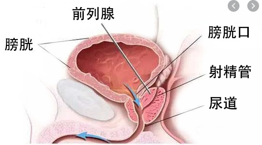 前列腺症状,前列腺症状医院,阜阳前列腺症状医院